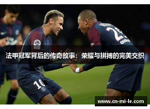 法甲冠军背后的传奇故事：荣耀与拼搏的完美交织