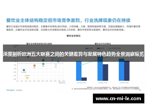 深度剖析欧洲五大联赛之间的关键差异与发展特色趋势全景洞察纵览