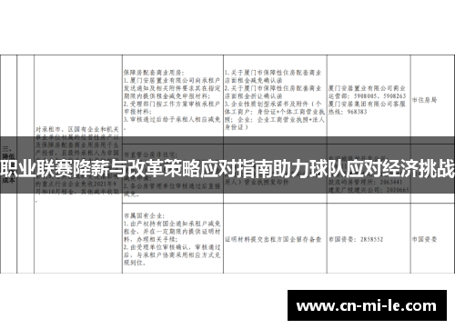职业联赛降薪与改革策略应对指南助力球队应对经济挑战