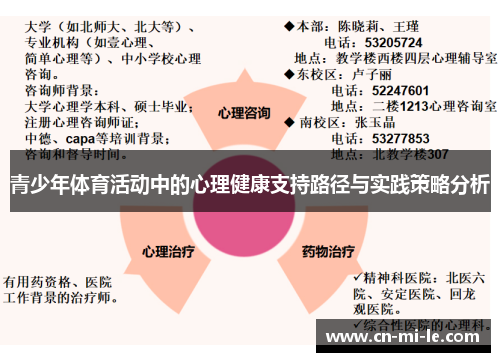 青少年体育活动中的心理健康支持路径与实践策略分析